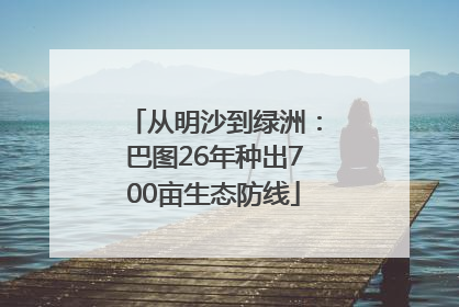 从明沙到绿洲：巴图26年种出700亩生态防线