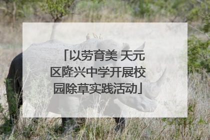 以劳育美 天元区隆兴中学开展校园除草实践活动