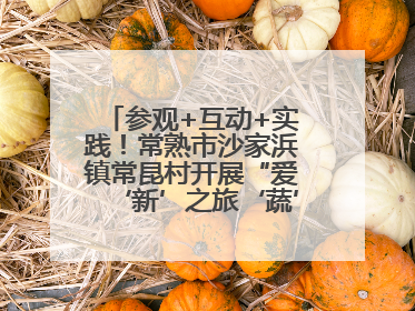 参观+互动+实践！常熟市沙家浜镇常昆村开展“爱‘新’之旅‘蔬’适生活”参观学习活动