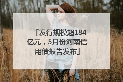 发行规模超184亿元，5月份河南信用债报告发布