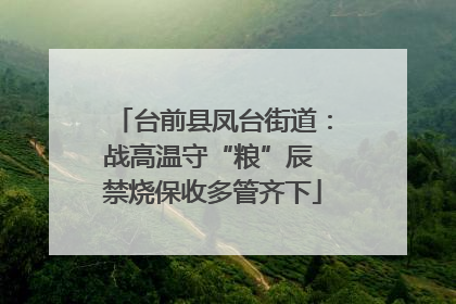 台前县凤台街道：战高温守“粮”辰 禁烧保收多管齐下
