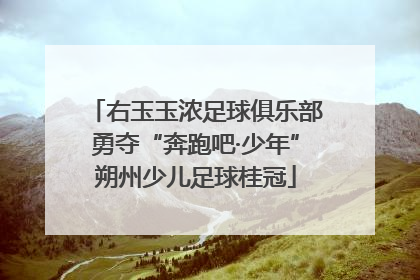 右玉玉浓足球俱乐部勇夺“奔跑吧·少年”朔州少儿足球桂冠