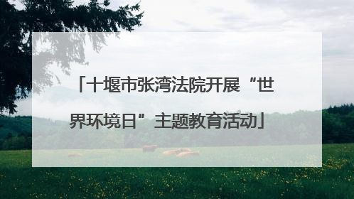 十堰市张湾法院开展“世界环境日”主题教育活动