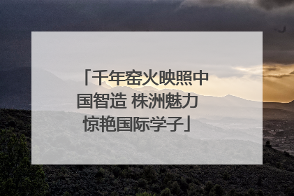 千年窑火映照中国智造 株洲魅力惊艳国际学子