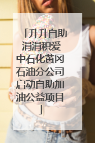 升升自助 涓涓积爱中石化黄冈石油分公司启动自助加油公益项目
