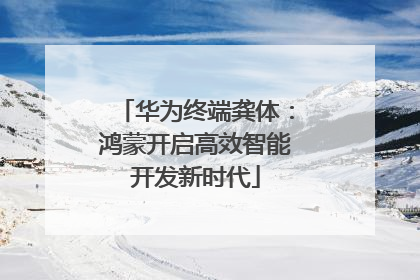 华为终端龚体：鸿蒙开启高效智能开发新时代