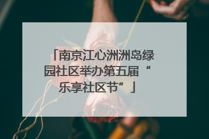 南京江心洲洲岛绿园社区举办第五届“乐享社区节”