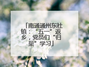南通通州东社镇：“五一”返乡，党员们“归巢”学习