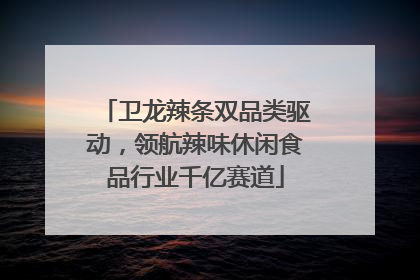 卫龙辣条双品类驱动，领航辣味休闲食品行业千亿赛道