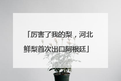 厉害了我的梨，河北鲜梨首次出口阿根廷
