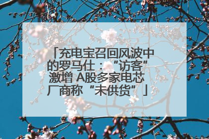 充电宝召回风波中的罗马仕：“访客”激增 A股多家电芯厂商称“未供货”