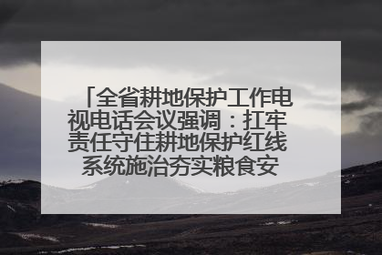 全省耕地保护工作电视电话会议强调：扛牢责任守住耕地保护红线 系统施治夯实粮食安全根基 王宁作出批示 王予波出席并讲话
