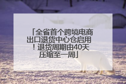 全省首个跨境电商出口退货中心仓启用！退货周期由40天压缩至一周