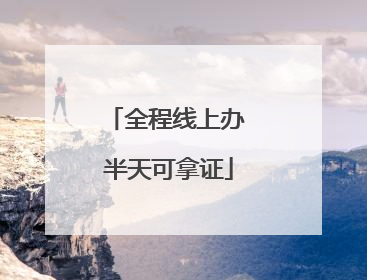 全程线上办 半天可拿证