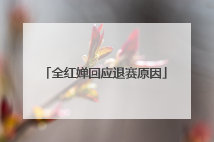 全红婵回应退赛原因