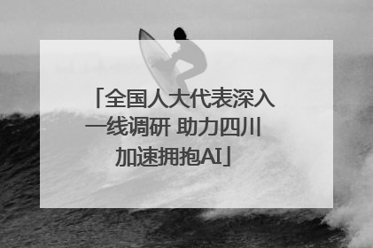 全国人大代表深入一线调研 助力四川加速拥抱AI