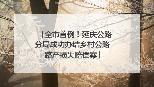 全市首例！延庆公路分局成功办结乡村公路路产损失赔偿案