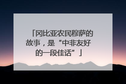 冈比亚农民穆萨的故事，是“中非友好的一段佳话”