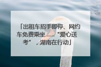 出租车招手即停、网约车免费乘坐……“爱心送考”，湖南在行动