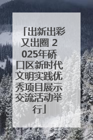 出新出彩又出圈 2025年硚口区新时代文明实践优秀项目展示交流活动举行
