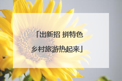 出新招 拼特色 乡村旅游热起来