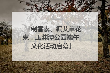 制香囊、编艾草花束，玉渊潭公园端午文化活动启幕