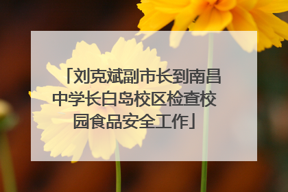 刘克斌副市长到南昌中学长白岛校区检查校园食品安全工作