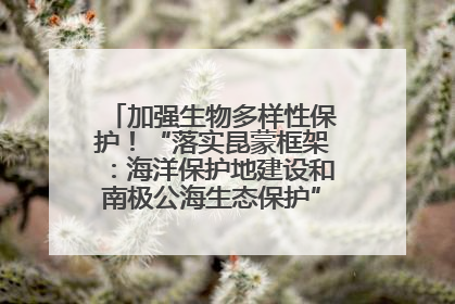加强生物多样性保护！“落实昆蒙框架：海洋保护地建设和南极公海生态保护”主题论坛将举办