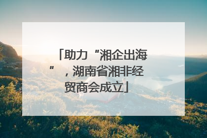 助力“湘企出海”，湖南省湘非经贸商会成立
