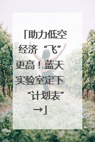 助力低空经济“飞”更高！蓝天实验室定下“计划表”→