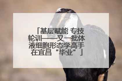 基层赋能 专技轮训——又一批体液细胞形态学高手在宜昌“毕业”