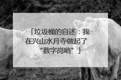 垃圾桶的自述：我在兴山水月寺做起了“数字岗哨”