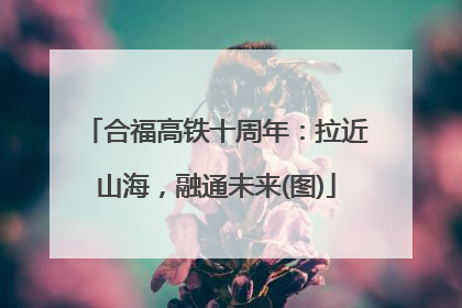 合福高铁十周年：拉近山海，融通未来(图)