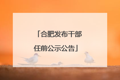 合肥发布干部任前公示公告