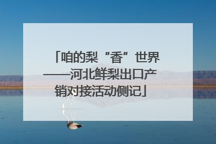 咱的梨“香”世界——河北鲜梨出口产销对接活动侧记