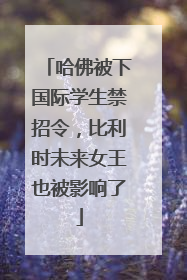 哈佛被下国际学生禁招令，比利时未来女王也被影响了