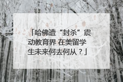 哈佛遭“封杀”震动教育界 在美留学生未来何去何从？