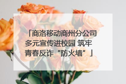 商洛移动商州分公司多元宣传进校园 筑牢青春反诈“防火墙”