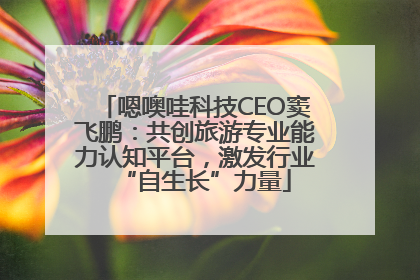 嗯噢哇科技CEO窦飞鹏：共创旅游专业能力认知平台，激发行业“自生长”力量