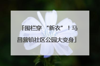 围栏穿 “新衣”！马昌营镇社区公园大变身