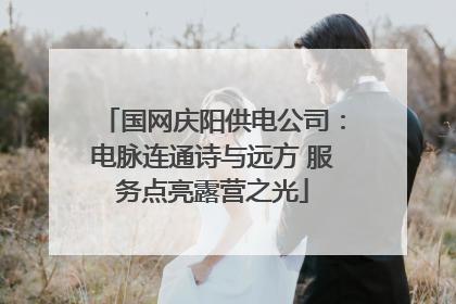 国网庆阳供电公司：电脉连通诗与远方 服务点亮露营之光
