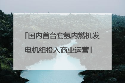 国内首台套氢内燃机发电机组投入商业运营