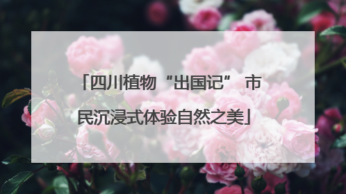 四川植物“出国记” 市民沉浸式体验自然之美