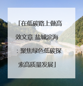 在低碳路上做高效文章 盐城滨海：聚焦绿色低碳探索高质量发展
