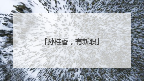 孙桂香，有新职