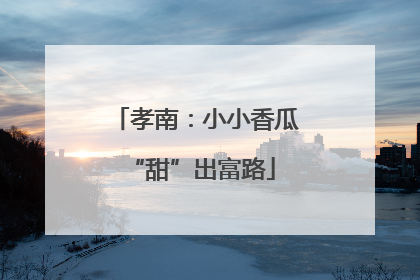 孝南：小小香瓜 “甜”出富路
