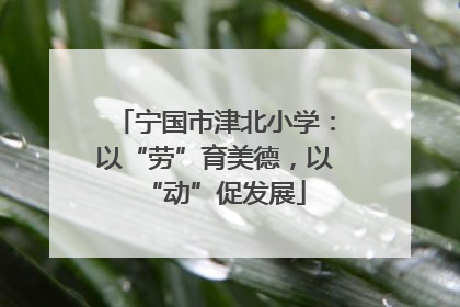 宁国市津北小学：以“劳”育美德，以“动”促发展