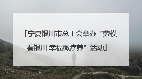 宁夏银川市总工会举办“劳模看银川 幸福微疗养”活动