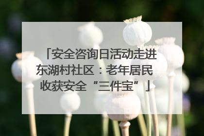 安全咨询日活动走进东湖村社区：老年居民收获安全“三件宝”