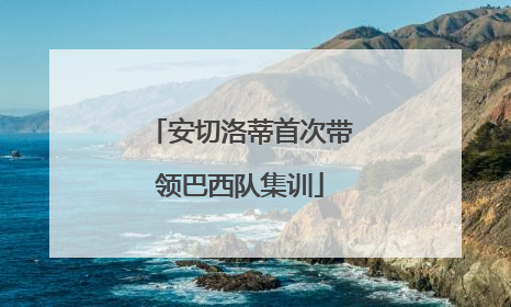 安切洛蒂首次带领巴西队集训